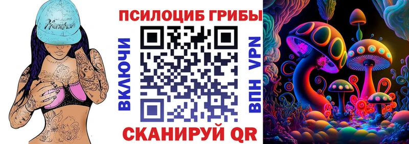 ОМГ ОМГ как зайти  продажа наркотиков  Шимановск  Галлюциногенные грибы мицелий 